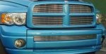 02-05 Sport Bumper Grille.jpg